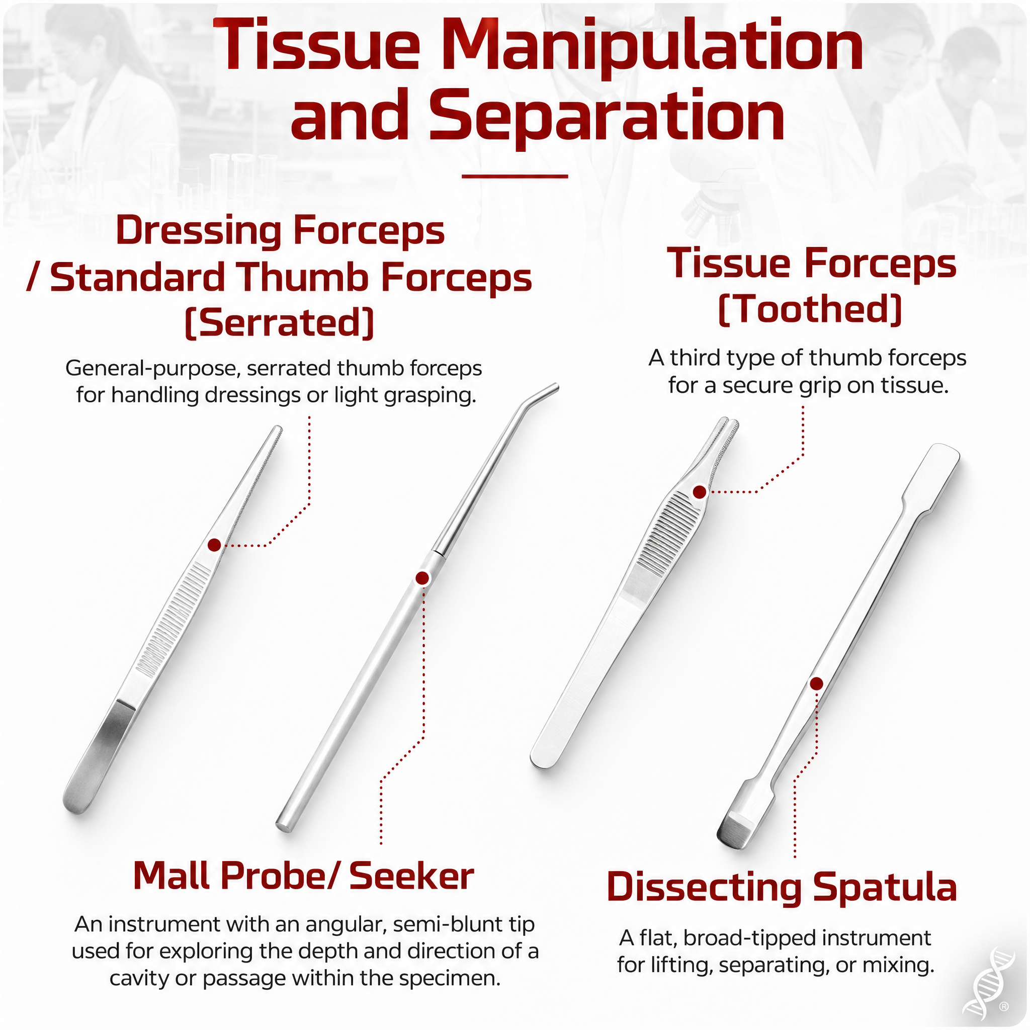 Advanced Dissection Kit